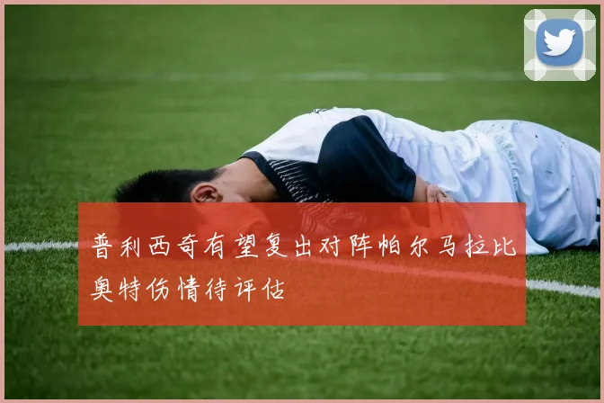 普利西奇有望复出对阵帕尔马拉比奥特伤情待评估