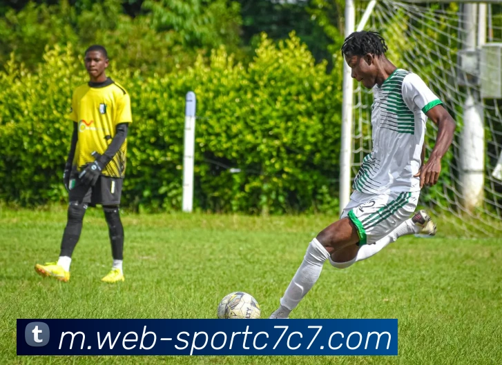 奖项图2
