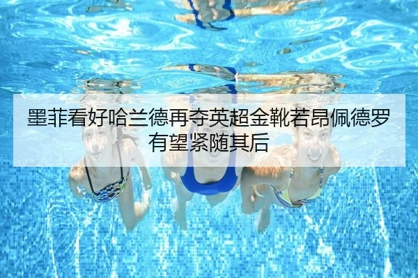墨菲看好哈兰德再夺英超金靴若昂佩德罗有望紧随其后（c7c7app）